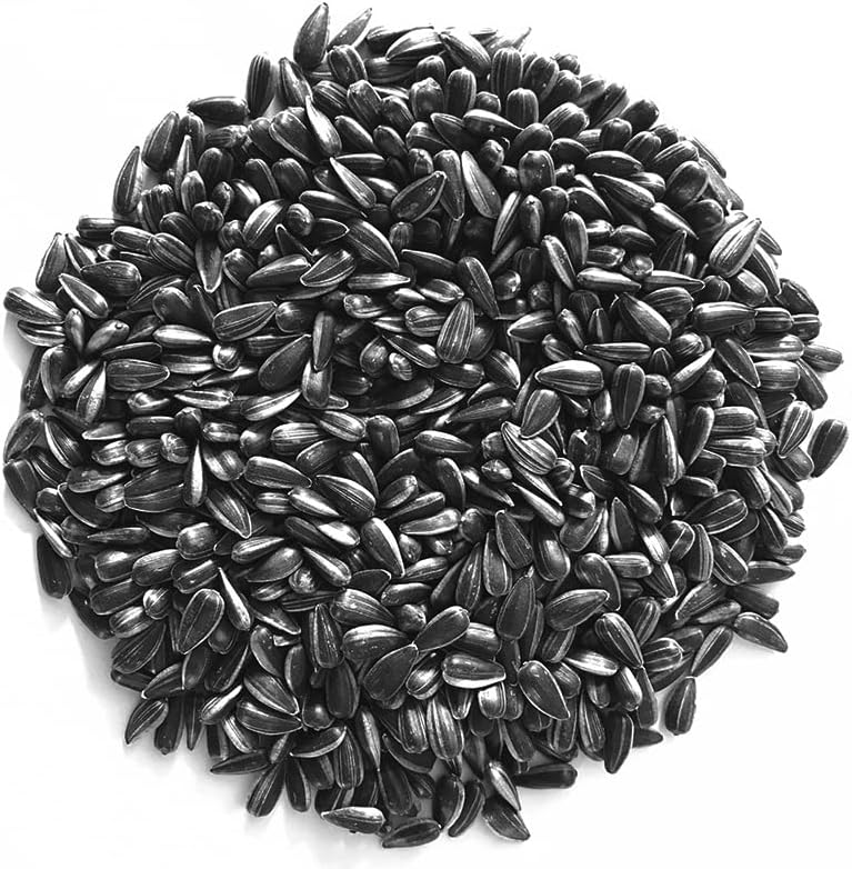 Black Oil Sunflower Seed 8-lb