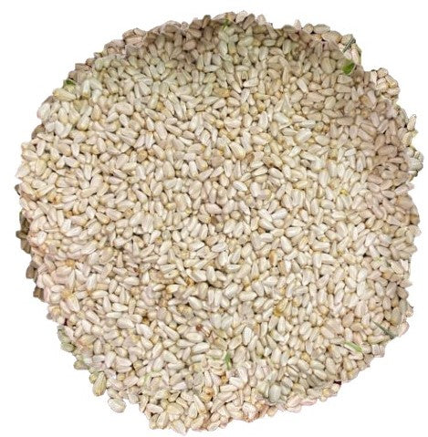 Safflower 10-lb