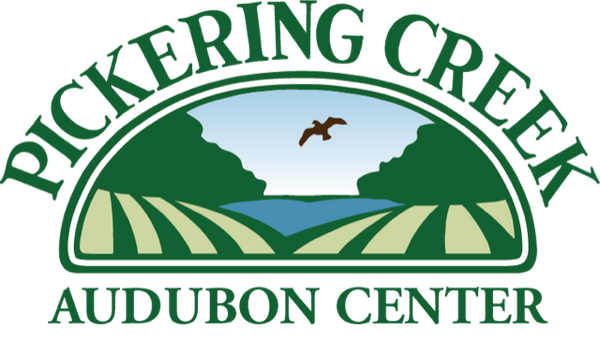 Pickering Creek Birdseed Sale